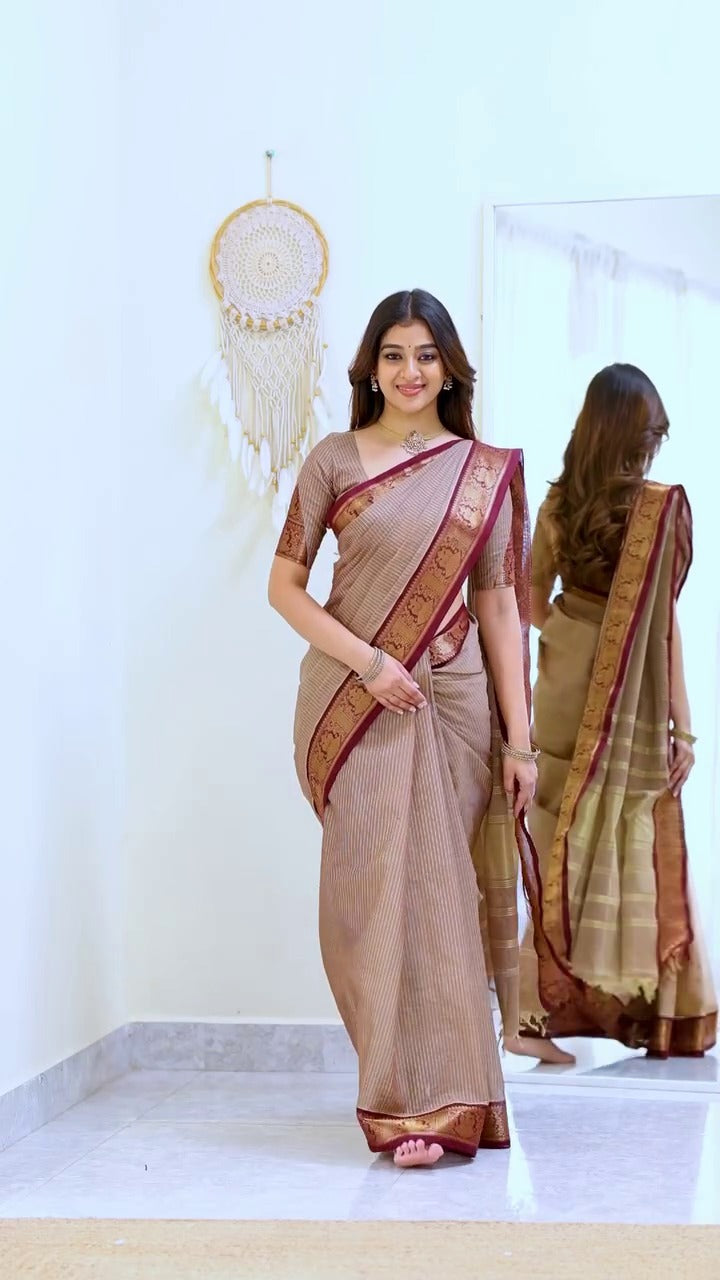 Brown Elegance Saree