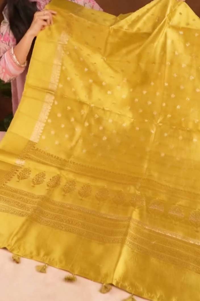 Pasupu Kanthi Silk Saree