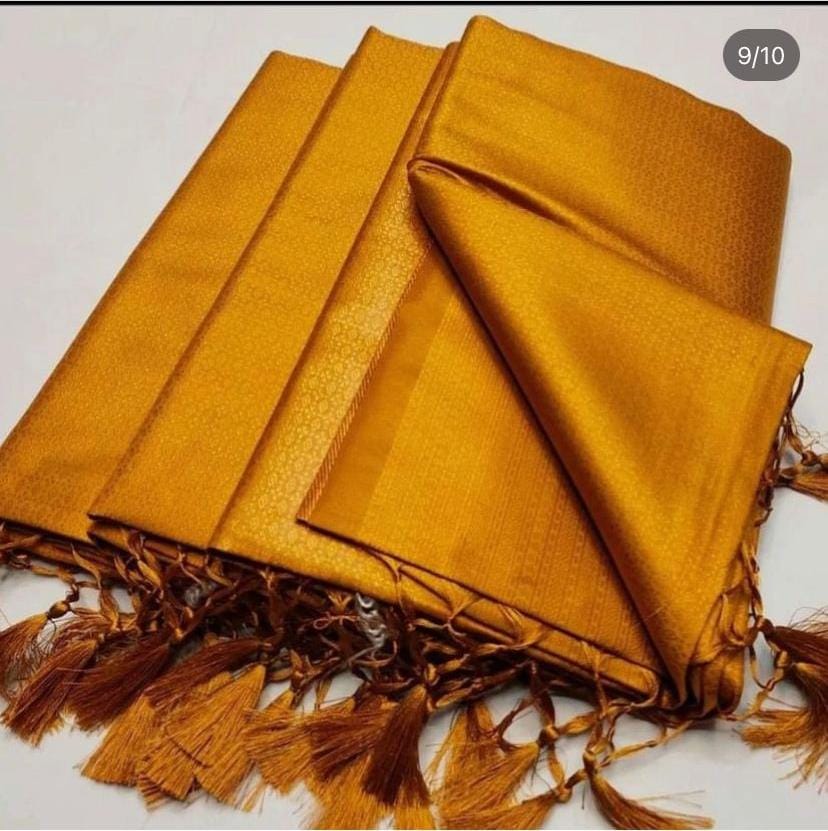 FM-Kanjivaram Silk Saree